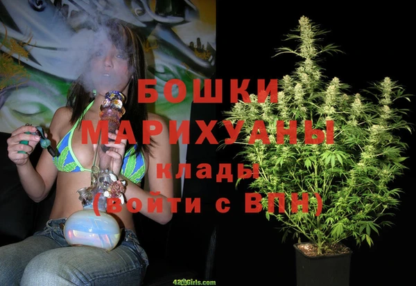 крисы Козловка