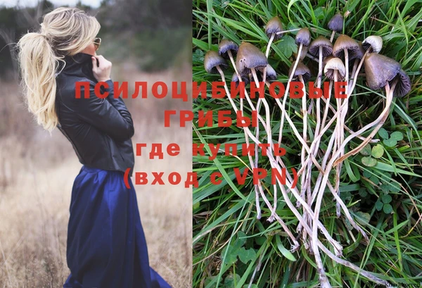 не бодяженный Кодинск