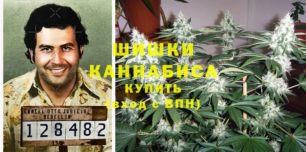 крисы Козловка