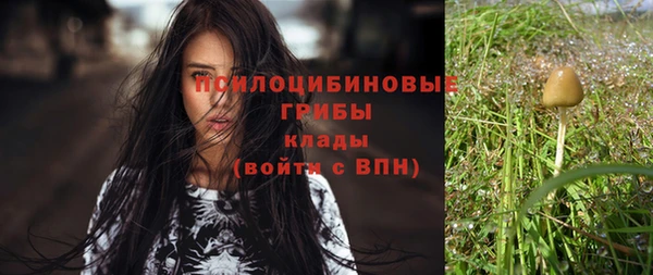 крисы Козловка