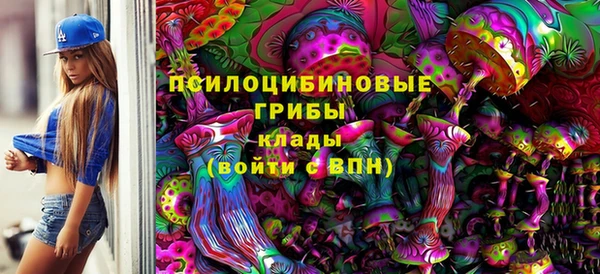 крисы Козловка