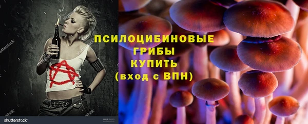 меф Козельск